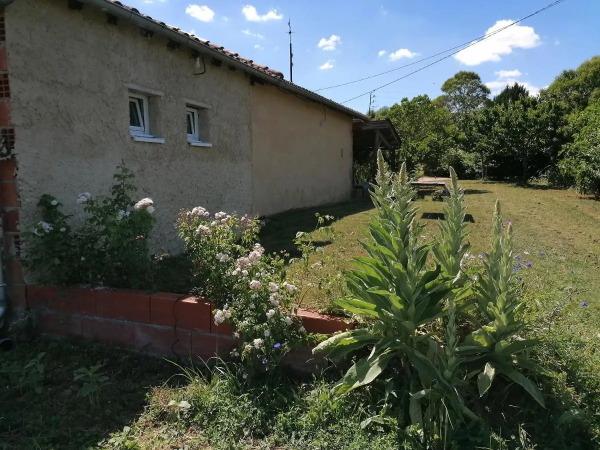 Holiday home La Contesse Villa Masseube